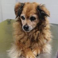 MCarmen Carda Abellán