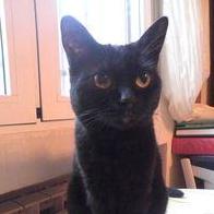 Elena Portillo Sanchez