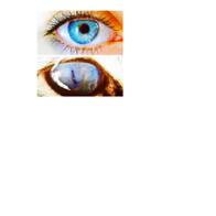 Encarni Carrasco Martos