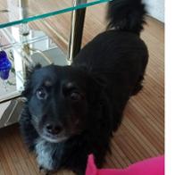 David Garrido Benito