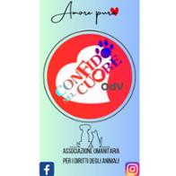 Con Fido Nel Cuore Giambertone