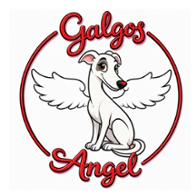 GALGOS ANGEL