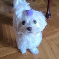 Marta Sánchez San José