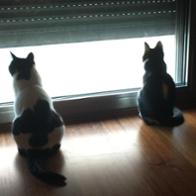 Amparo Aguilar Planells