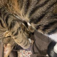 Sandra Martinez Saiz