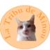 LA TRIBU  DE MINOU
