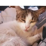 pili molina fernandez