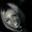 Sylvia  Durand Alves Dias