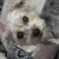 Rocio(chio) Algaba moreno