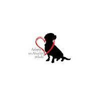 Adopta un Abuelito Peludo