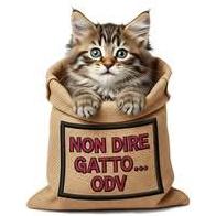 Non Dire Gatto Odv