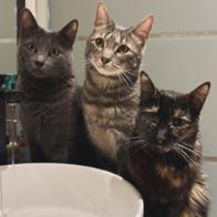 Andrea Sacristan Tejado