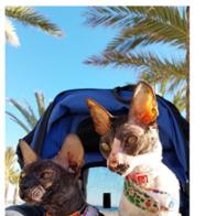 Madeleine  Christmann