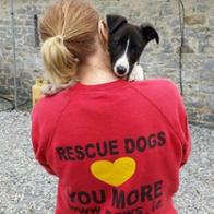 PAWS Animal Rescue Ireland