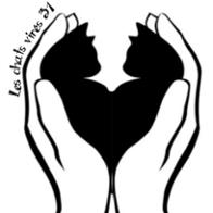 Les Chats Virés 31