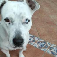 Maite Martinez praderas