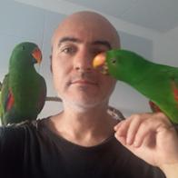 David Martín de la Sierra Silva