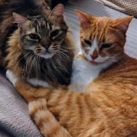 Elena Santos cermeño