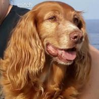 JEAN MICHEL JEAN MICHEL DAL MOLIN