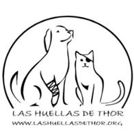 Las huellas de Thor Santuario