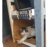 Patricia Moret Valenzuela