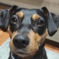 Teresa Bolívar Romero