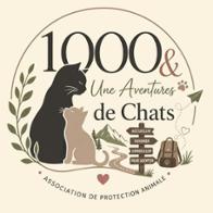 1000&1 Aventures de Chats - Pro