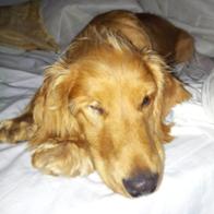 arturo garcia garcia