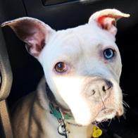 Rocío Carranza López