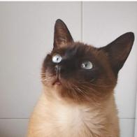 Nathalie Borge Álvarez