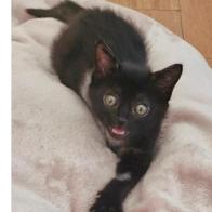 Judith Del barrio Garcia