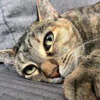 Eva Santaeularia Criado