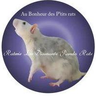 Au'Bonheur Des P'tits Rats