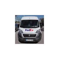 estrella lledo molla