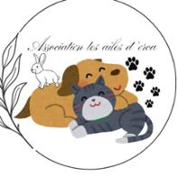 Association  Les ailes d'orca