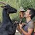 Por Los Animales