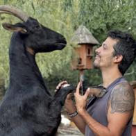 Por Los Animales