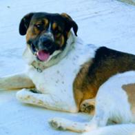 Oscar Lagunas de Pablo