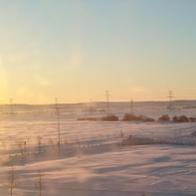 Rosario Cañero Cantero