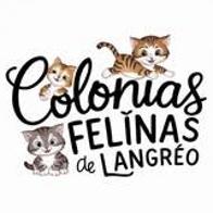 Elsa Cristina Cangiani