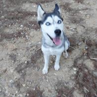 Bertha Mariella Fabrega