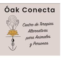 Vanessa Alba Pérez  Belinda Sánchez Macías