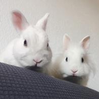 Laura Ruiz Castellano