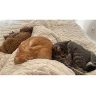 Marina Alonso Herreros