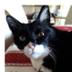 Edith DEL