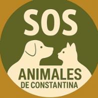 SOS ANIMALES DE CONSTANTINA