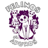 Felinos en Apuros Linares