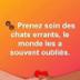 Neuer Teamer 1