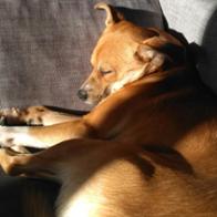 Sergio Linares Hurtado