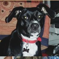 Paula Andrea Cardona